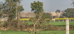 Plot Area in  Land at Jewar – for Sale