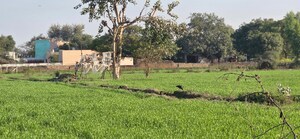 Plot Area in  Land at Jewar – for Sale