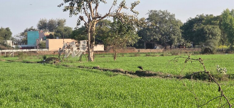 undefined, jewar Commercial Land 10584 Sq.Yd. In Jewar Greater Noida 9684955