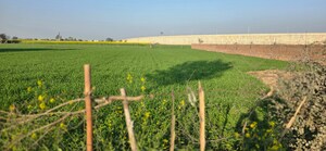 Plot Area in  Land at Jewar – for Sale