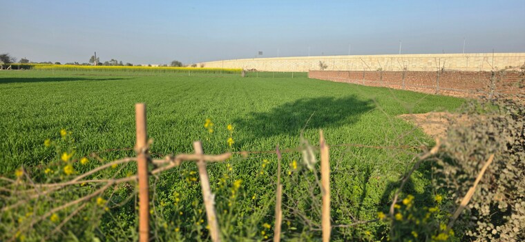 undefined, jewar Commercial Land 4158 Sq.Yd. In Jewar Greater Noida 9685113