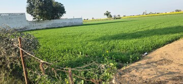 Plot Area in  Land at Jewar – for Sale