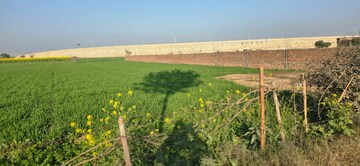 Plot Area in  Land at Jewar – for Sale