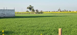 Plot Area in  Land at Jewar – for Sale