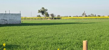 Plot Area in  Land at Jewar – for Sale