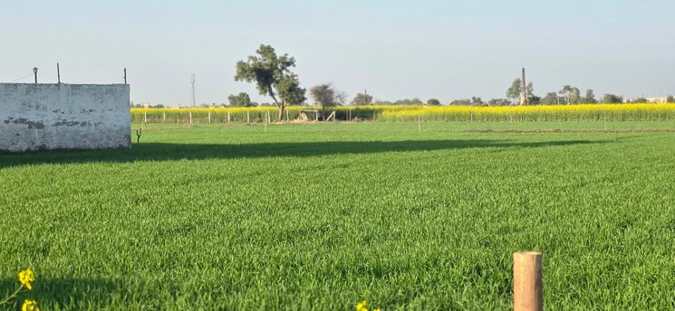 undefined, jewar Commercial Land 4158 Sq.Yd. In Jewar Greater Noida 9685113