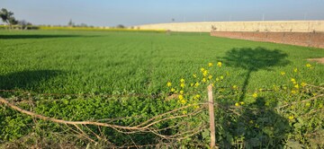 Plot Area in  Land at Jewar – for Sale