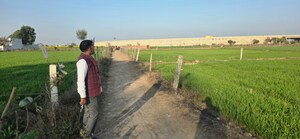 Plot Area in  Land at Jewar – for Sale