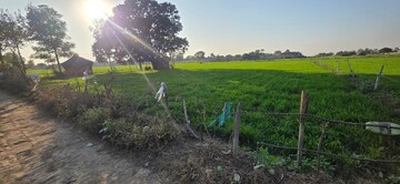 Plot Area in  Land at Jewar – for Sale