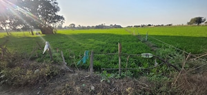 Plot Area in  Land at Jewar – for Sale