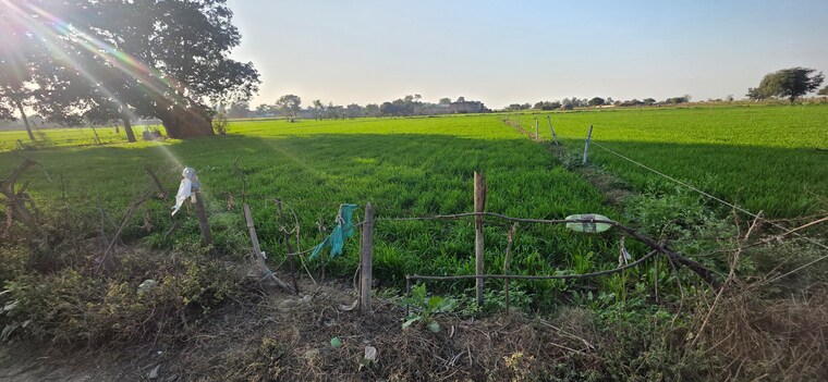 undefined, jewar Commercial Land 1512 Sq.Yd. In Jewar Greater Noida 9685371