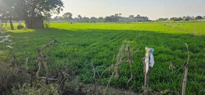 Plot Area in  Land at Jewar – for Sale