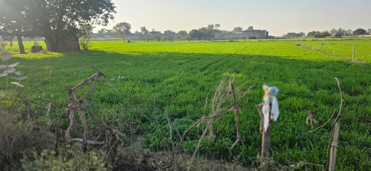 undefined, jewar Commercial Land 1512 Sq.Yd. In Jewar Greater Noida 9685371