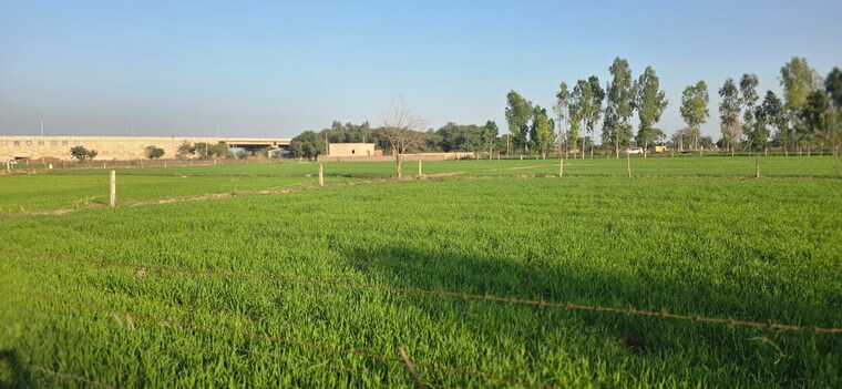 undefined, jewar Commercial Land 1512 Sq.Yd. In Jewar Greater Noida 9685371