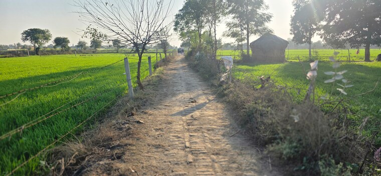 undefined, jewar Commercial Land 1512 Sq.Yd. In Jewar Greater Noida 9685371