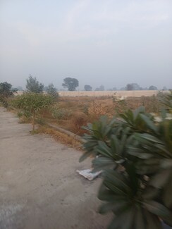 Plot For Sale in Jewar