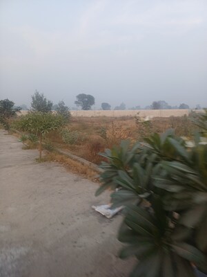  Plot For Sale in Jewar