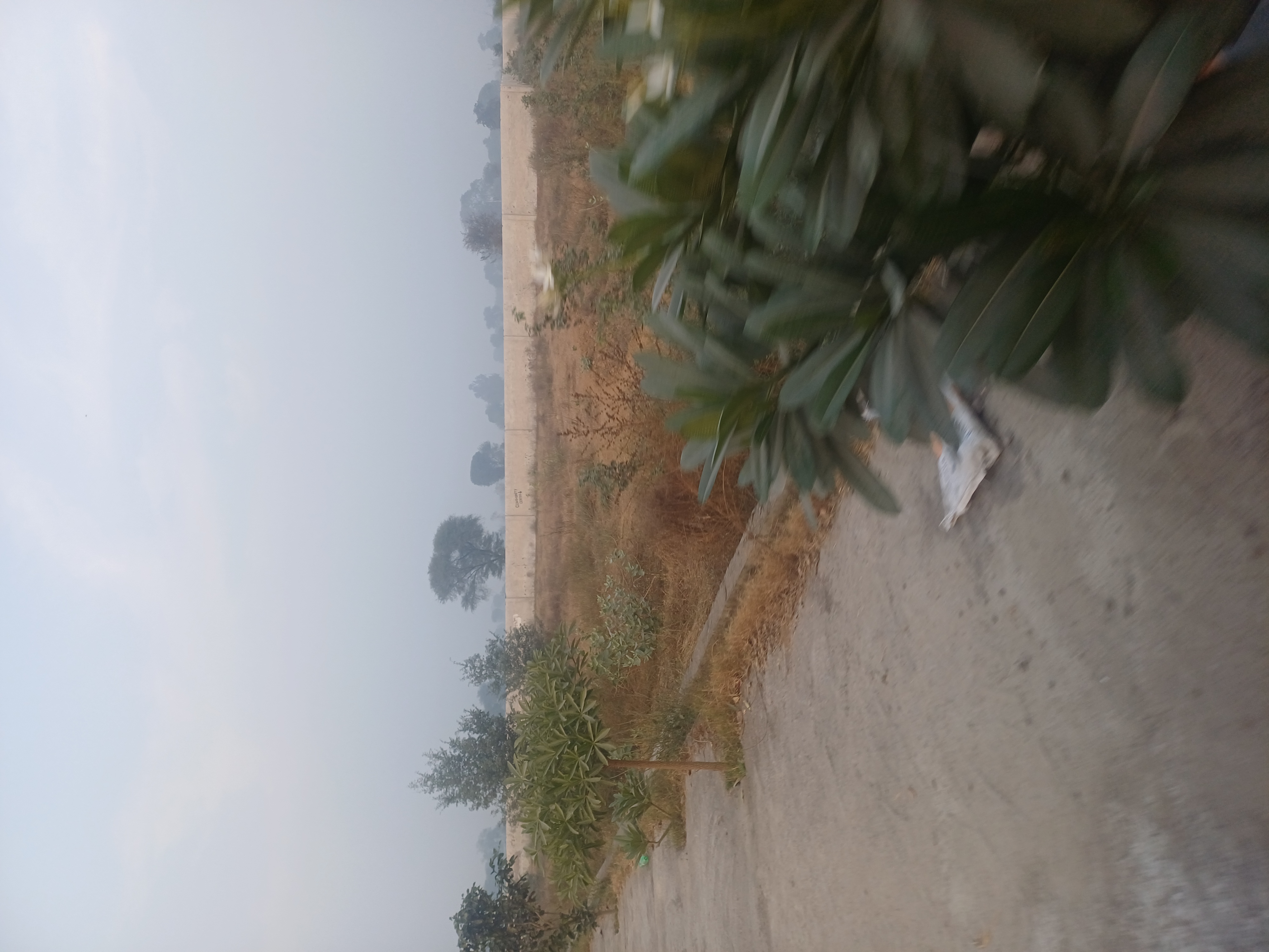 Plot For Sale in Harit City 