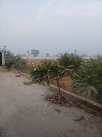  Plot – Exterior View View at Jewar - for Sale