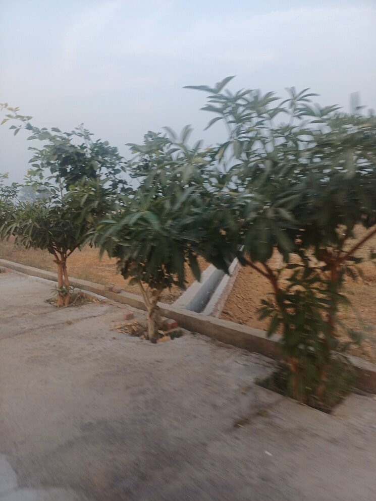 Exterior View, jewar  127 Sq.Yd. Plot In Jewar Greater Noida 9685482