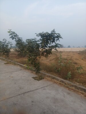 Plot Area in  Plot at Jewar – for Sale