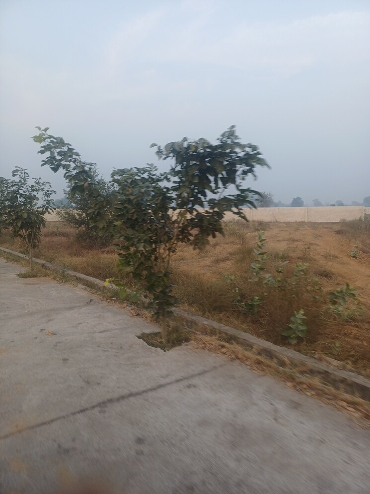 undefined, jewar  128 Sq.Yd. Plot In Jewar Greater Noida 9685509