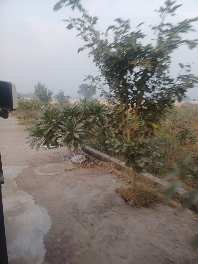 undefined, jewar  128 Sq.Yd. Plot In Jewar Greater Noida 9685509