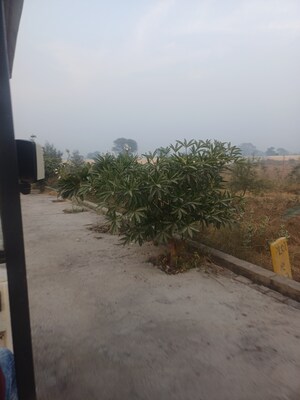  Plot – Exterior View View at Jewar - for Sale