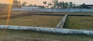 Plot Area in  Plot at Motiram Adda – for Sale