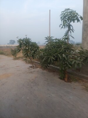  Plot – Exterior View View at Jewar - for Sale
