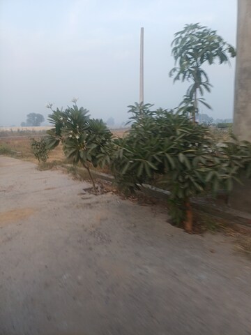  Plot – Exterior View View at Jewar - for Sale