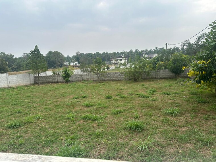 undefined, kechery  4793 Sq.Ft. Plot In Kechery Thrissur 9685845