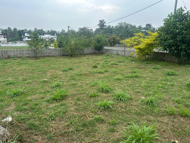 undefined, kechery  4793 Sq.Ft. Plot In Kechery Thrissur 9685845