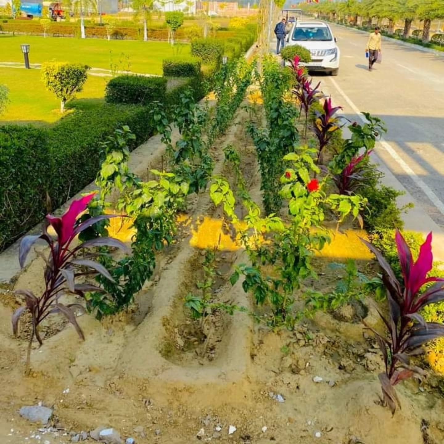  Plot – Garden View at Wing Lucknow Greens Plots, Sultanpur Road - for Sale