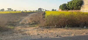 Plot Area in  Land at Jewar – for Sale