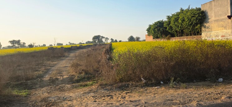 undefined, jewar Commercial Land 6804 Sq.Yd. In Jewar Greater Noida 9686020