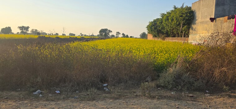 undefined, jewar Commercial Land 6804 Sq.Yd. In Jewar Greater Noida 9686020