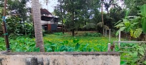 Plot Area in  Plot at Mukkattukara – for Sale