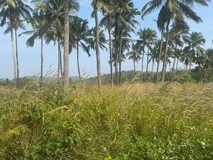 Plot Area in  Plot at Thiroor – for Sale