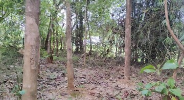 Plot Area in  Plot at Kottayi – for Sale