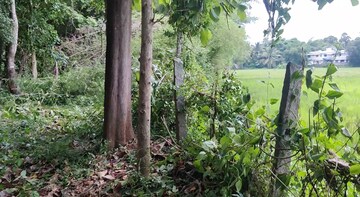  Plot – Exterior View View at Kottayi - for Sale