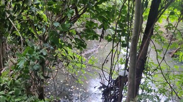  Plot – Exterior View View at Kottayi - for Sale