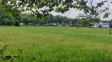  Plot For Sale in Kottayi