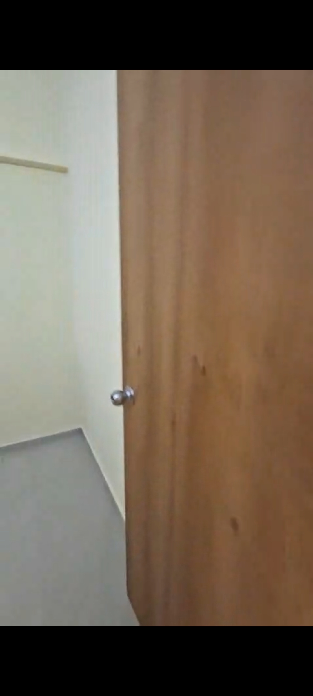 1 BHK Apartment For Rent in Vora Estate