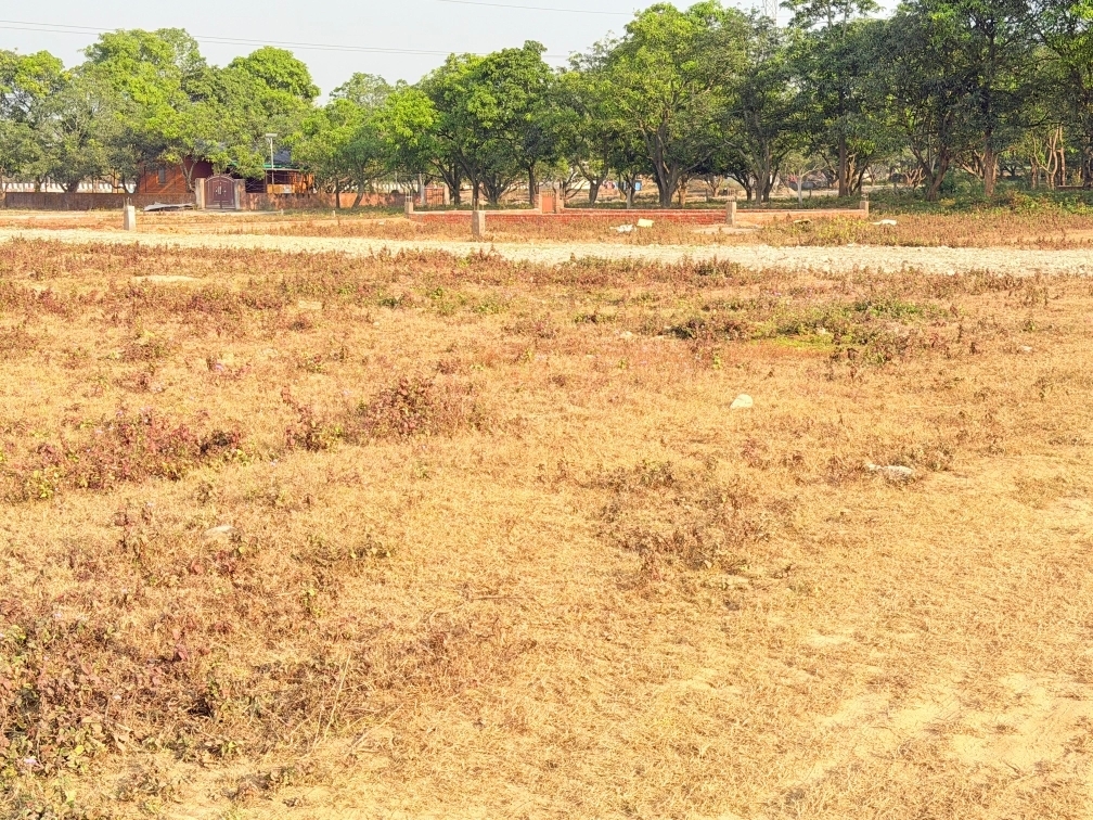 Plot For Sale in Shimla Bypass Road