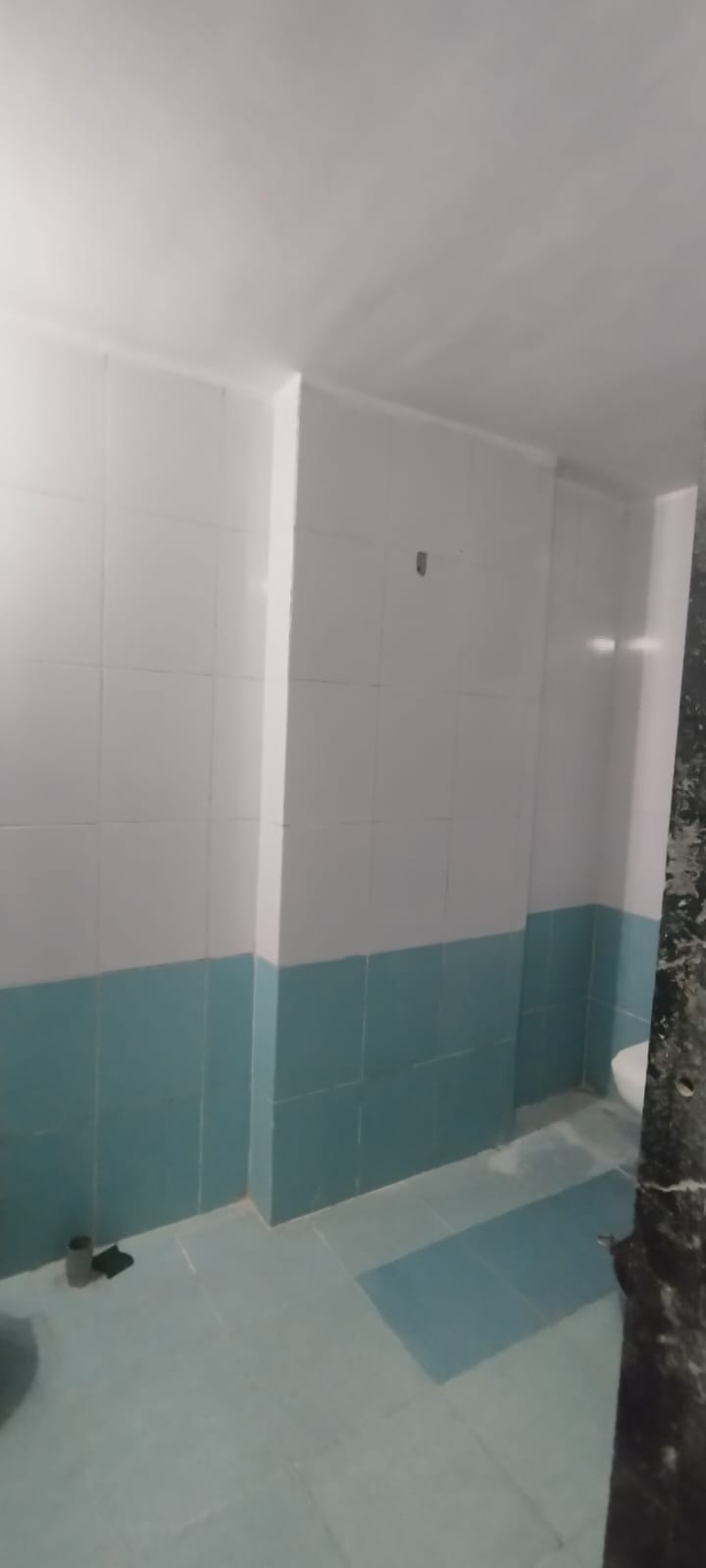 1 BHK Apartment For Rent in Panchamrut CHS Thane