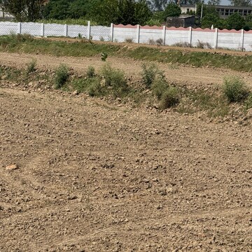 Plot Area in  Plot at Dankaur – for Sale