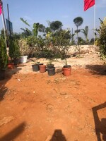 900 Sq.Ft. Plot in Bundi Road