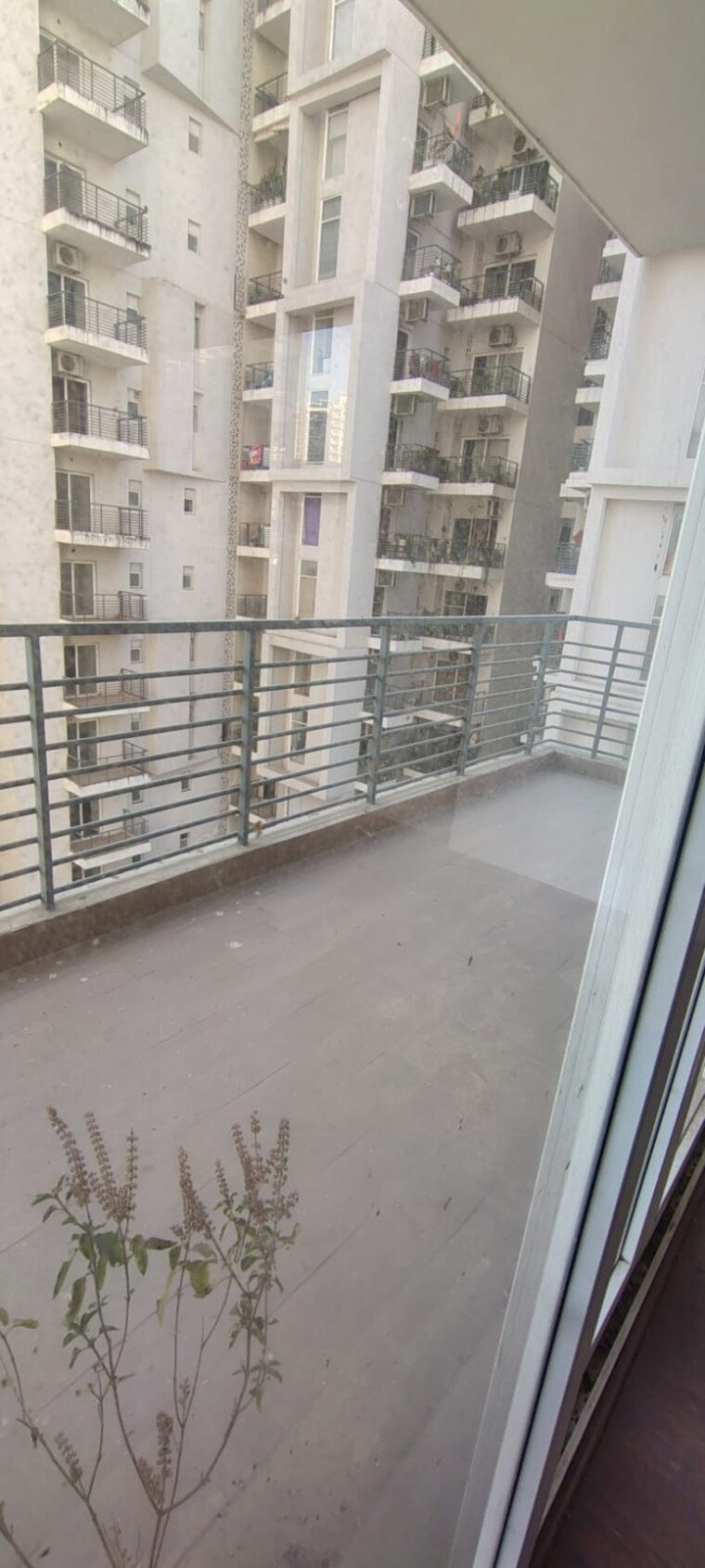 Balcony, spaze-kalistaa 3.5 Bedroom 3200 Sq.Ft. Apartment In Sector 84 Gurgaon 9687106