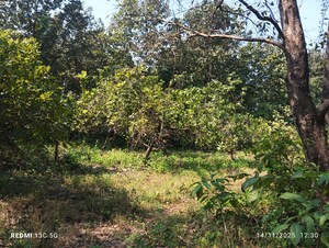  Land – Garden View at Ambarnath Jaihind, Ambernath - for Sale
